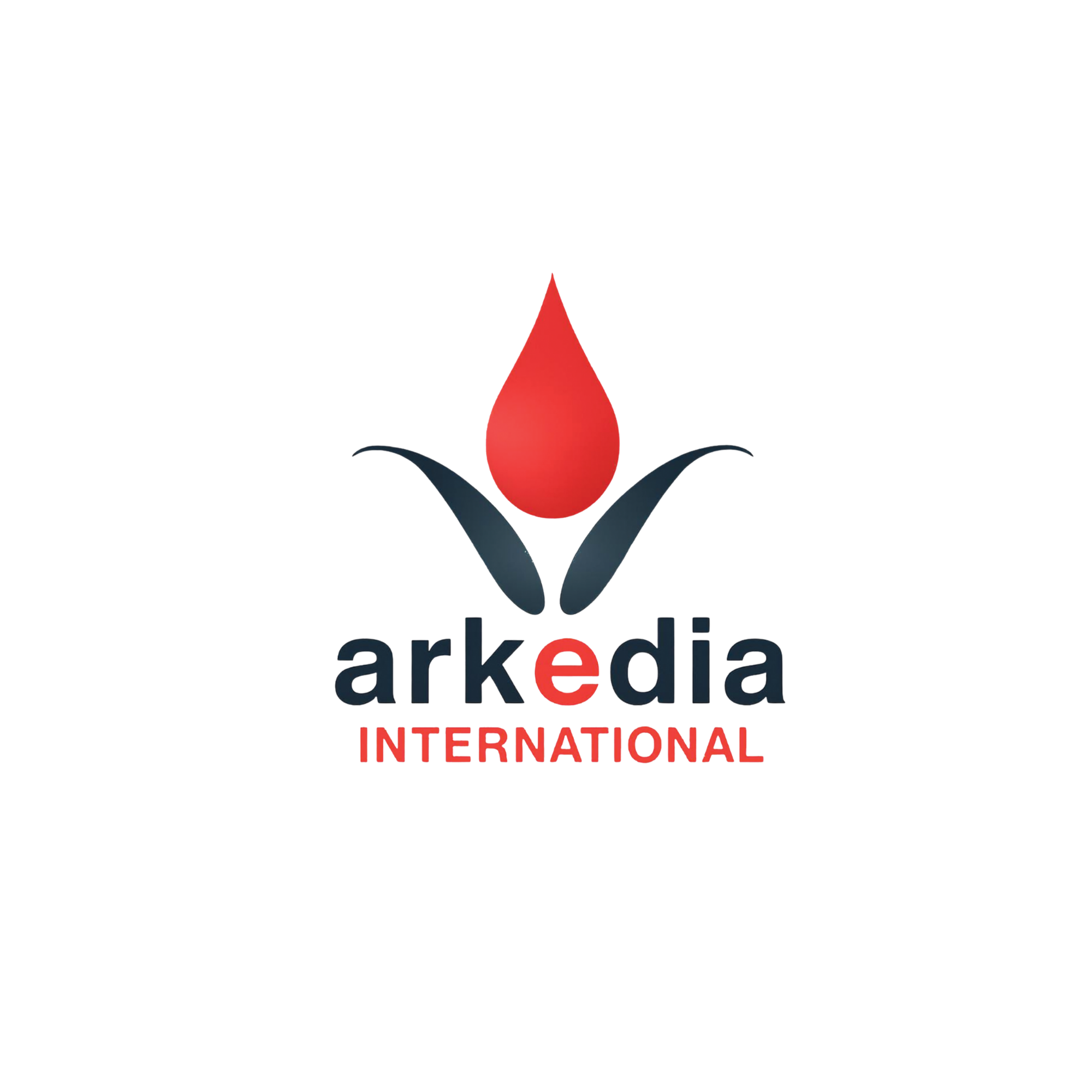 arkedia INTERNATIONAL